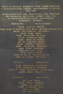 img37848.jpg