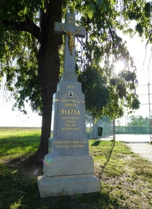 img37850.jpg