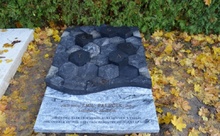 img37856.jpg