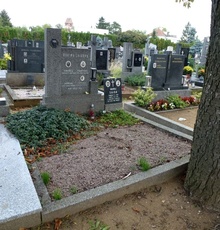 img37860.jpg
