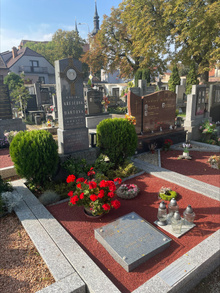 img37866.jpg