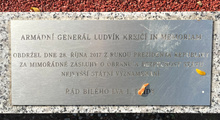 img37869.jpg