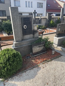 img37873.jpg