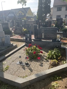 img37875.jpg