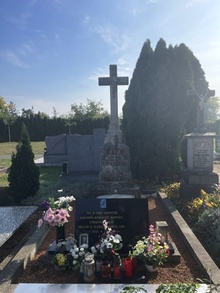 img37880.jpg