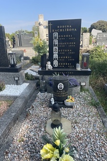 img37886.jpg