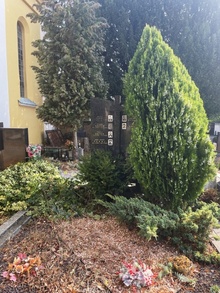 img37915.jpg