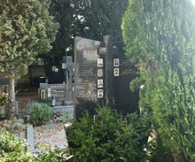img37916.jpg