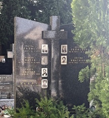 img37917.jpg