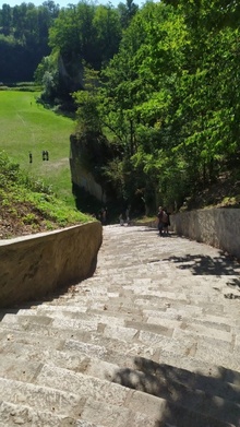 img37935.jpg