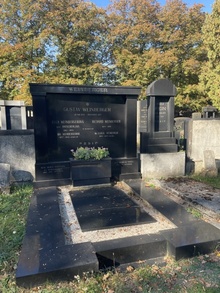 img37964.jpg