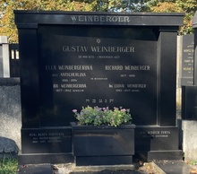 img37965.jpg