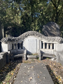 img37969.jpg