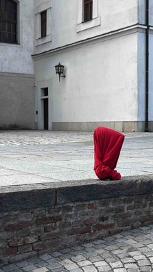 img37979.jpg