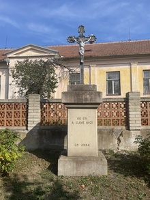 img37993.jpg