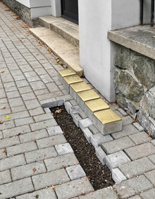 img38061.jpg