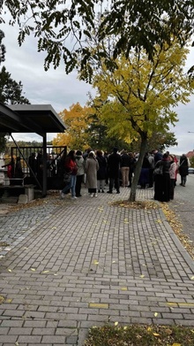 img38069.jpg