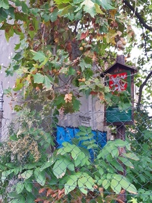 img38076.jpg