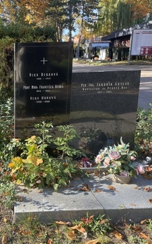 img38081.jpg